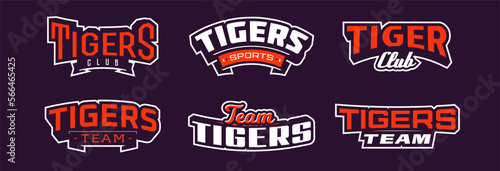 A set of bold fonts for tiger mascot logo. Collection of text style lettering for esports, mascot logo, sports team, college club logo. Font on ribbon. Vector illustration isolated on background