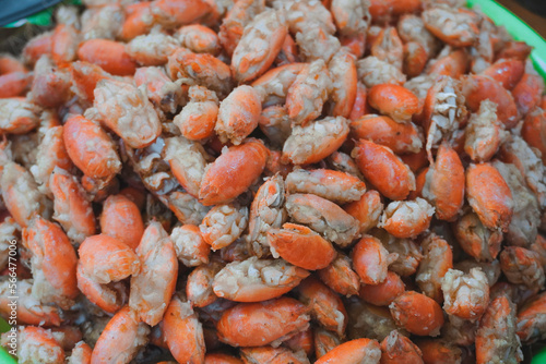 Crispy Sand Crab or Undur-undur Laut Goreng, Fried seafood snacks from Gunung Kidul Beach, Yogyakarta, Indonesia. Selective focus and noise food texture. photo