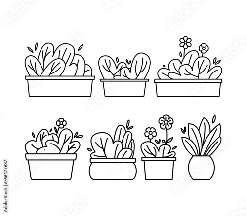 Set of outline cute potted plant, indoor plant, home decoration, houseplant illustration