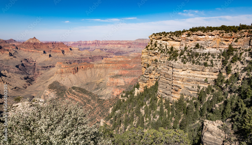 Fototapeta premium Grand Canyon South Rim