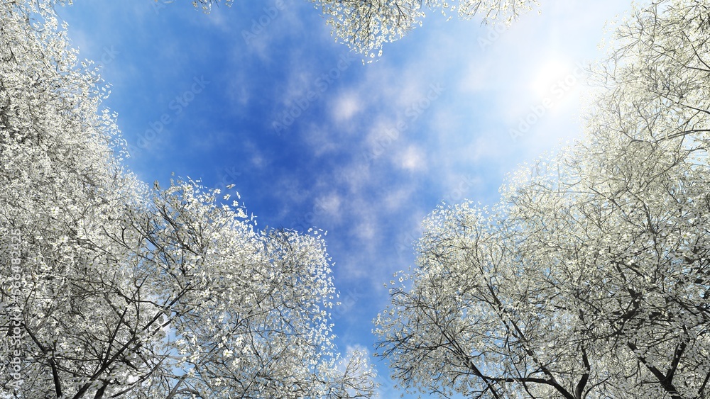 Blue sky and white flowers. 3D illustration. 3D rendering.