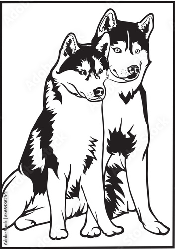 A pair of husky dog on a walk, husky dog vector.