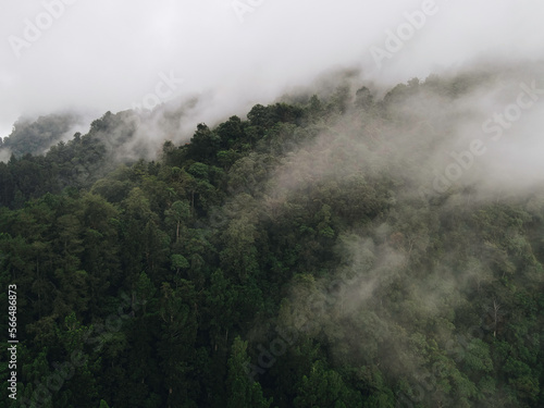 Aerial view of foggy forest landscape in Indonesia at sunrise.