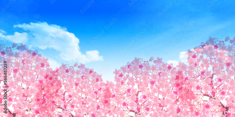 Fototapeta premium 桜 空 風景 背景