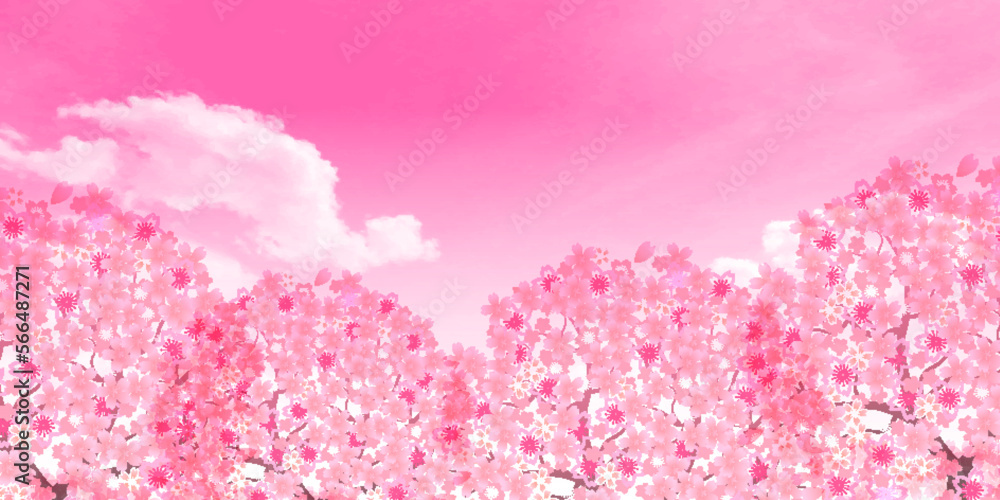 Fototapeta premium 桜 空 風景 背景