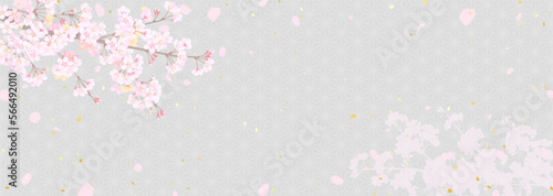 麻の葉模様に桜の枝と舞う花びらのイラスト