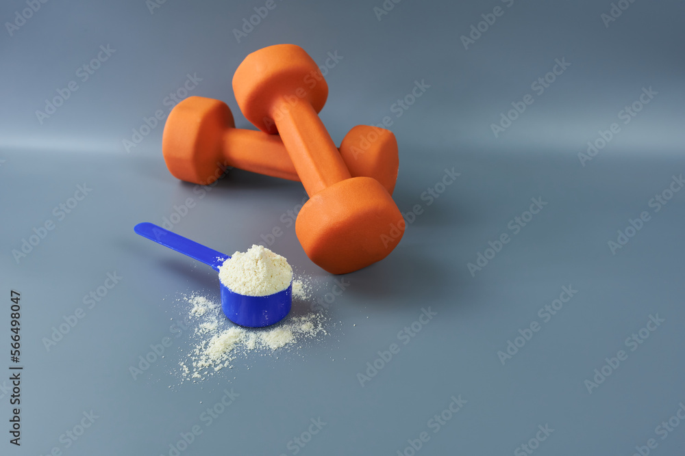 Orange dumbbells with a portion of vanilla whey protein on a gray background. The concept is protein nutrition. Orange dumbbells with a portion of vanilla whey protein on a gray background. The concept is protein nutrition.