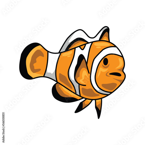 set of clown fish isolated on white background