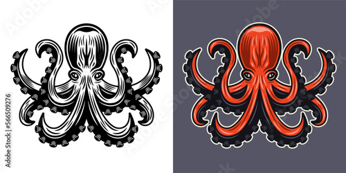 Octopus in two styles monochrome on white and colorful on grey background vector illustration