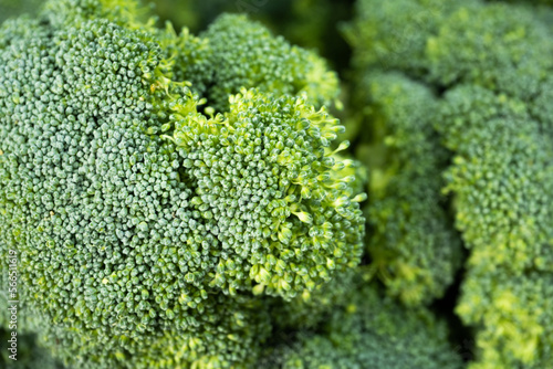 Close up of various raw vegetables like broccoli © Ojas