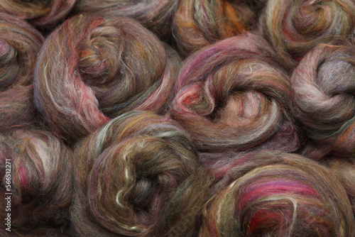 Stunning natural sheep wool fibres rolled up in a roving which has been made out of an art batt for hand spinning yarn on a spinning wheel. photo