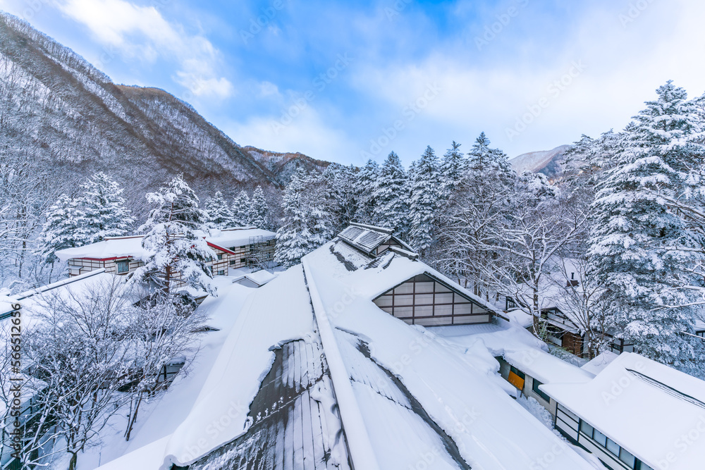 Fototapeta premium snow-covered trees in the park, heavy snow at Heike No Sato Village in Tochigi Prefecture, Nikko City, JAPAN