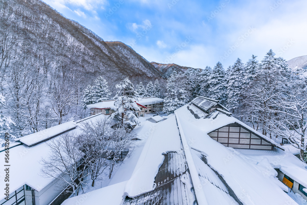 snow-covered trees in the park, heavy snow at Heike No Sato Village in Tochigi Prefecture, Nikko City, JAPAN