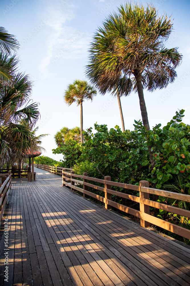 Obraz premium Walkways and bridges over the waterways of Florida