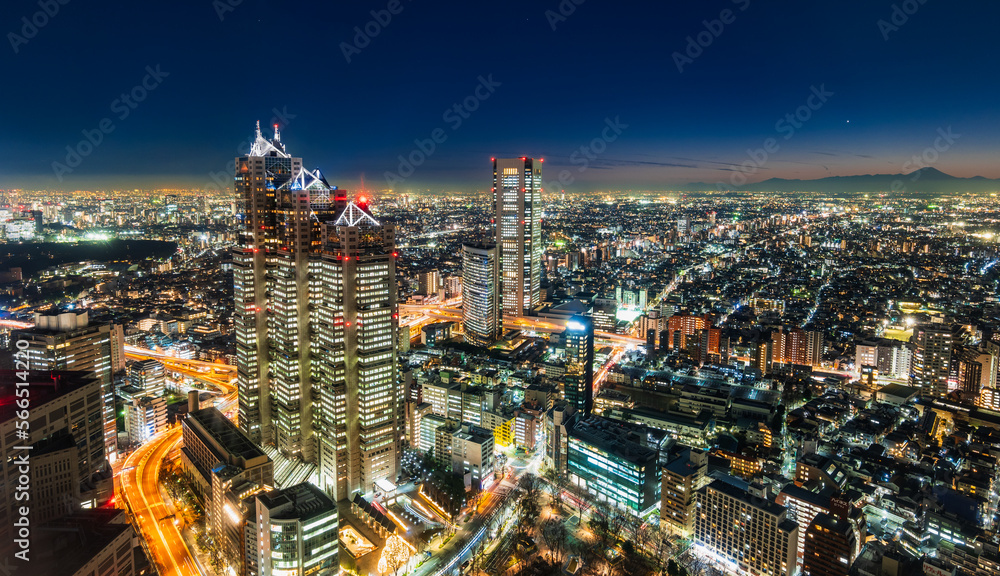 Obraz premium 富士山と東京 夜景