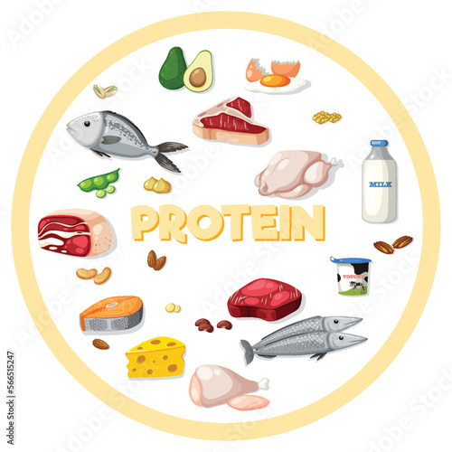 Variety of protein foods