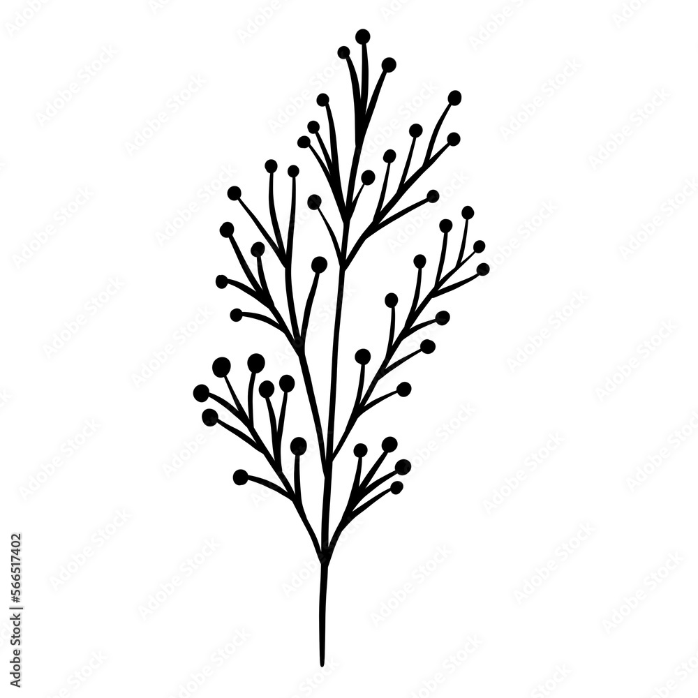 Naklejka premium Winter twig line illustration isolated. Botanical wildflower.