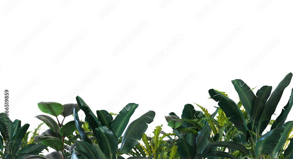 Tropical plants on transparent background. Botanical foreground. Lower frame, border. Cut out graphic design element. 3D
