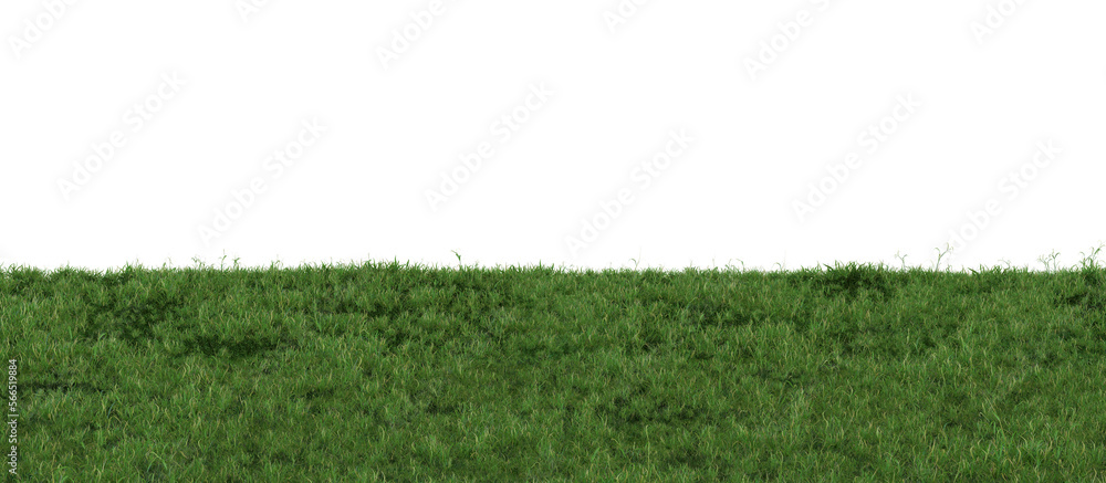 Grass on transparent background. Meadow, lawn as foreground. Lower