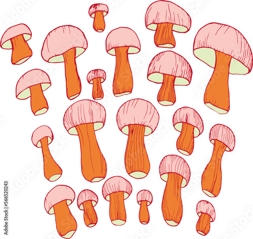 Mushrooms set simple hand drawing. Mushrooms of various sizes. Wallpaper with food.