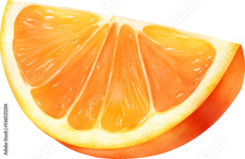 Sliced Orange Fruit Isolated Hand Drawn Painting Illustration