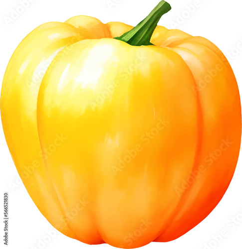 Yellow Paprika Bell Pepper Isolated Hand Drawn Painting Illustration