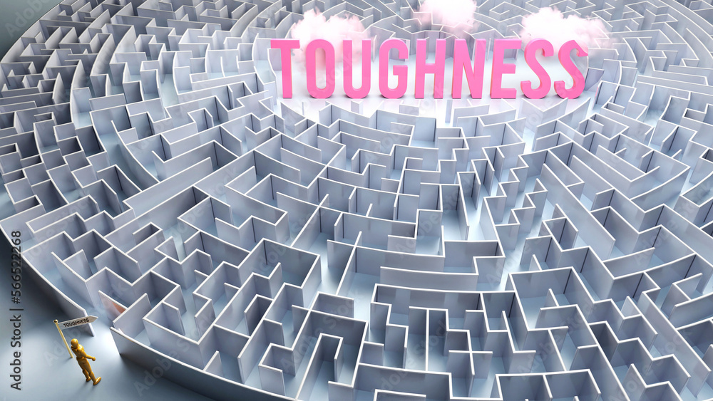 A journey to find Toughness - going through a confusing maze of obstacles and difficulties to finally reach toughness. A long and challenging path,3d illustration A journey to find Toughness - going through a confusing maze of obstacles and difficulties to finally reach toughness. A long and challenging path,3d illustration