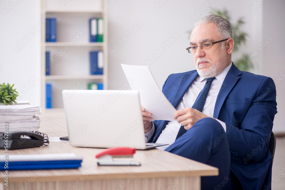 Old male employee working in the office Old male employee working in the office