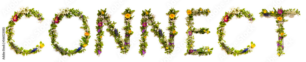 Blooming Flower Letters Building English Word Connect Blooming Flower Letters Building English Word Connect