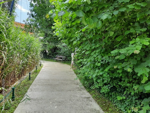 A kid hiding in  the hedge on a path surrounded by vegetation