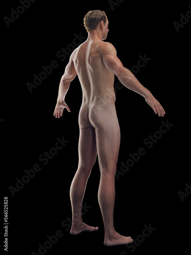 Photography 3D rendered medical illustration of a man's integumentary system