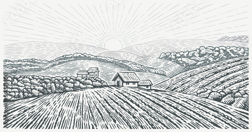 Rural landscape with the village house and  agricultural fields,  with hills drawing in graphic style. Vector Illustration.