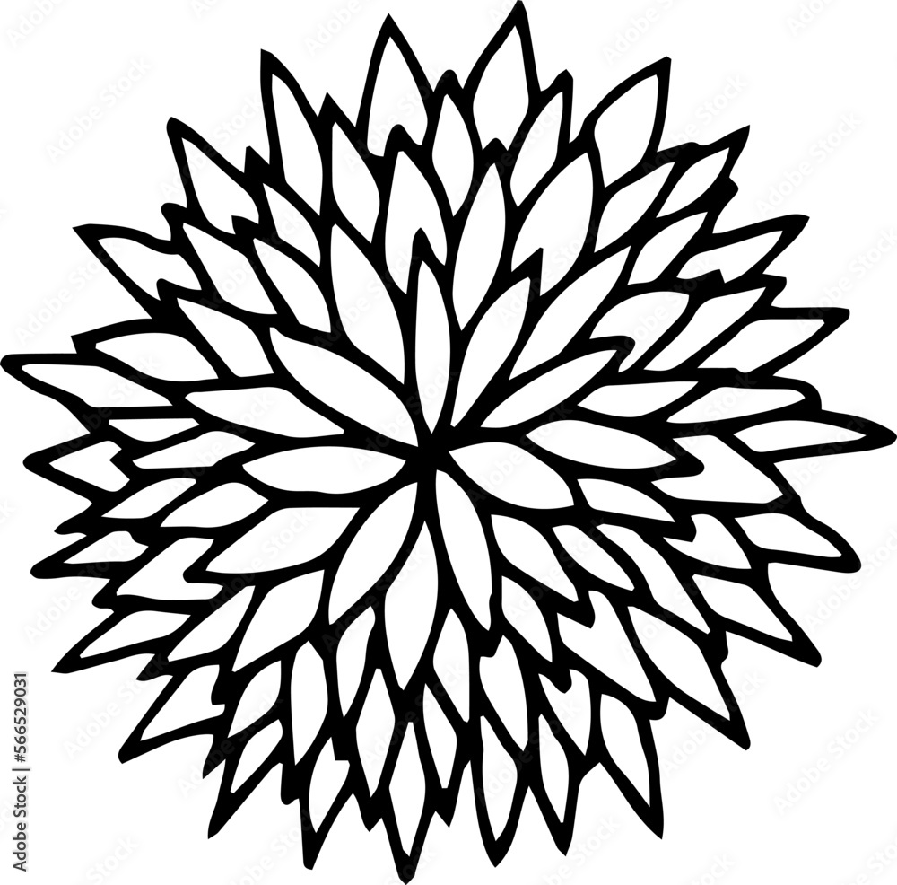 Illustration of a flower with several rows of leaves. Vector illustration. Illustration of a flower with several rows of leaves. Vector illustration.