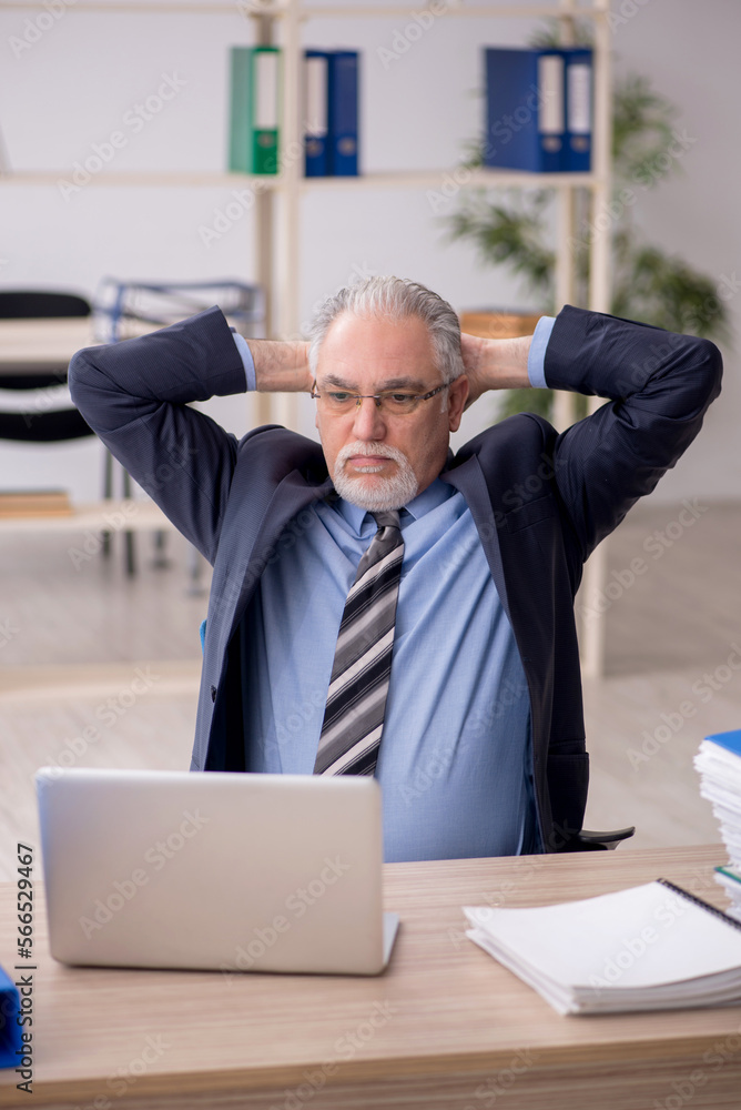 Fototapeta premium Old male employee working in the office