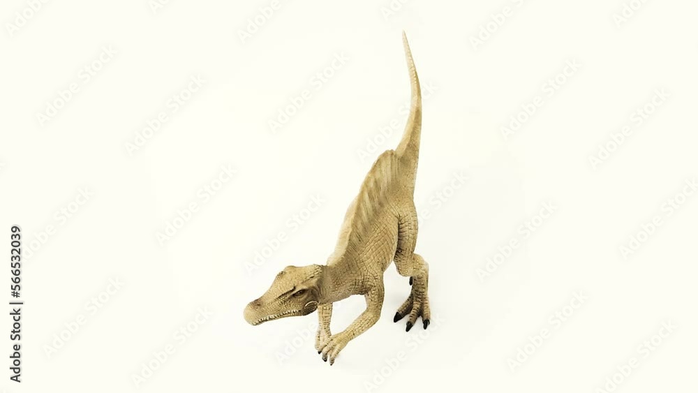 Spinosaurus Skeleton white background Spinosaurus Skeleton white background
