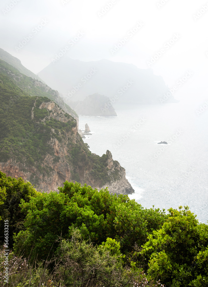 Green bushes on the background of the outlines of rocks in the morning fog