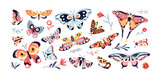 Beautiful butterflies. Exotic flying moths, winged insects, flowers, plants, spring nature set. Pretty charming multicolored fauna. Colored flat vector illustrations isolated on white background