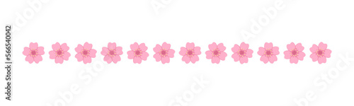 Cherry Blossom Divider Illustration. Spring Floral Border Design Element.