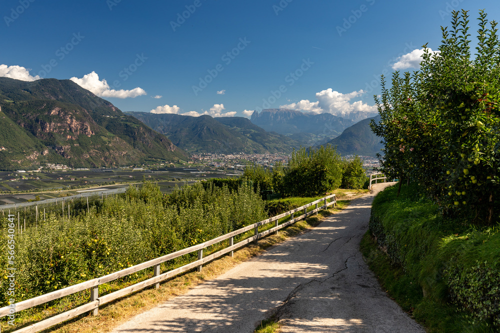 andscape in the municipality of Eppan in South Tyrol, Italy andscape in the municipality of Eppan in South Tyrol, Italy