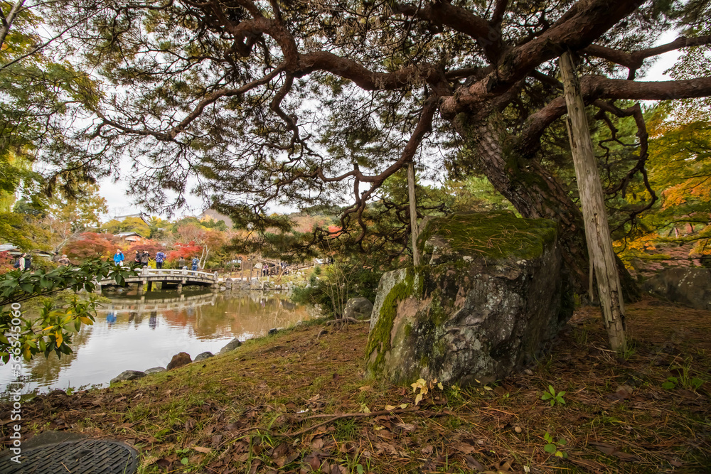 A very beautiful Japanese garden has many trees, rocks, ornaments and ponds. Gardens in Japan also have bonsai trees.