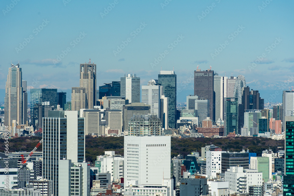 Fototapeta premium 新宿のビル群