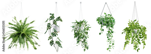 Foto Collection of beautiful plants hanging in ceramic pots isolated on transparent background