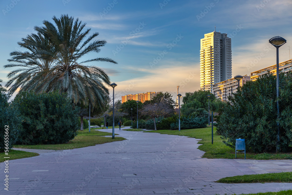 Pathway in the Turia park in Valencia at sunset, Spain Pathway in the Turia park in Valencia at sunset, Spain