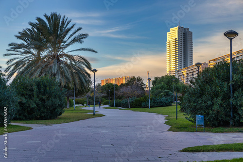 Pathway in the Turia park in Valencia at sunset, Spain