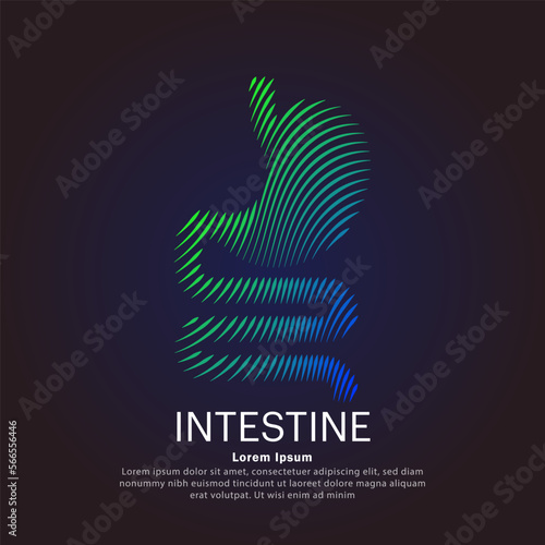 Human stomach medical structure. Vector logo stomach care color silhouette on a dark background. gastrointestinal system vector design - EPS 10