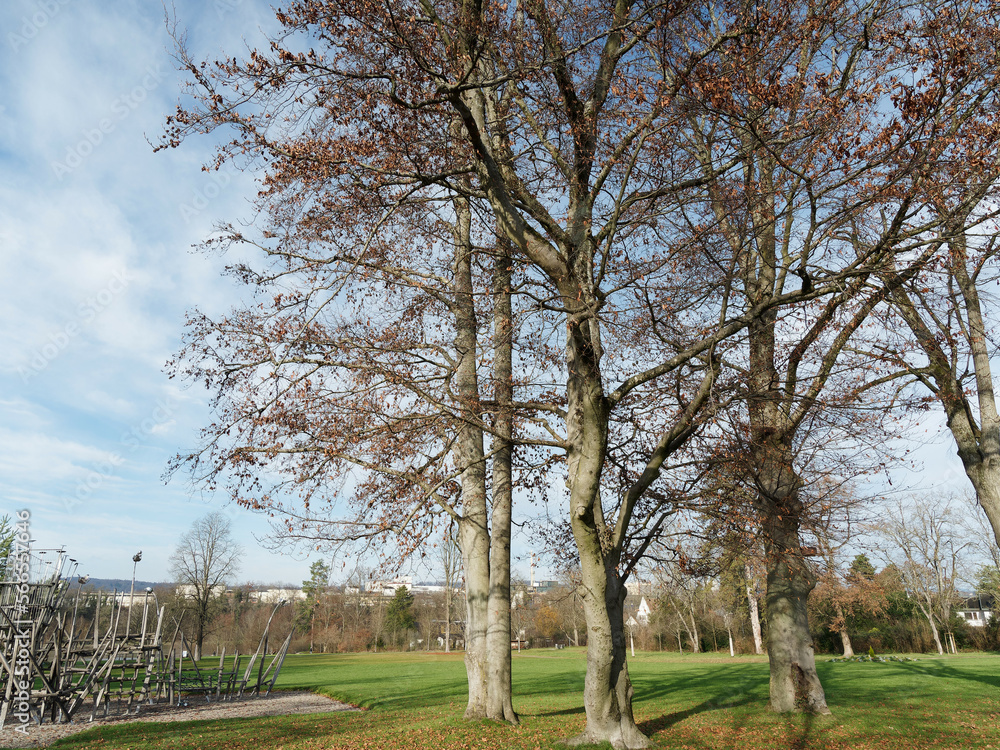 Rheinfelden (Aargau). Stadtpark Ost, Ruhezone und Spielplatz zwischen Rheinweg, Rhy-Strand-Park und Strandbad
