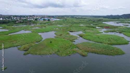 Drone view to Green landscape by the lake.