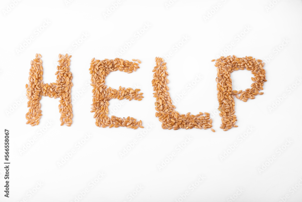 Top view on heap of wheat seed illustrating Grain Crisis in the world Top view on heap of wheat seed illustrating Grain Crisis in the world