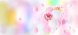 pastel color abstract blurred background