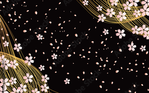 黒背景に金のラインと桜吹雪の組み合わせ